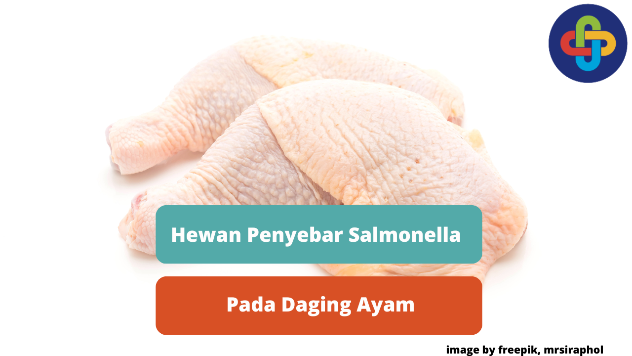 Berikut Beberapa Hewan Penyebar Salmonella Pada Daging Ayam